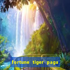 fortune tiger paga de madrugada